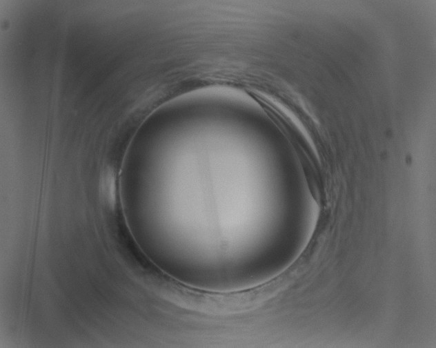 X0000051250027200506241558