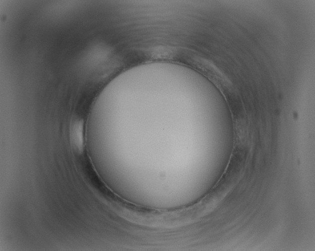 X0000051250028200506241558