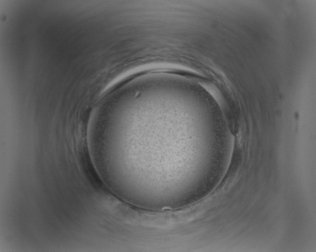 X0000051250029200506241558