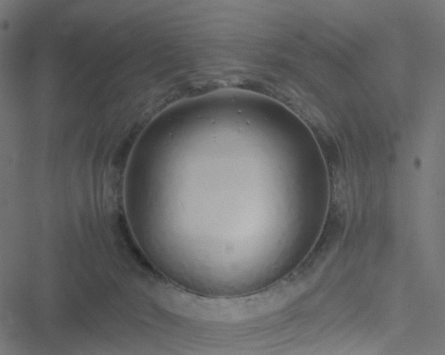 X0000051250030200506241558