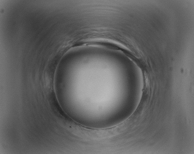 X0000051250031200506241558