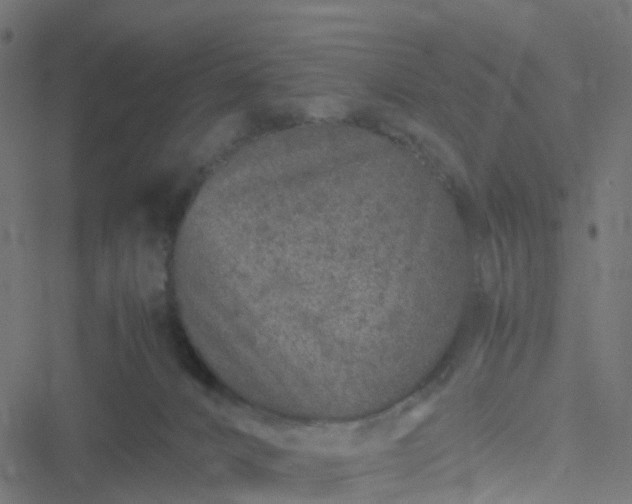 X0000051250032200506241558