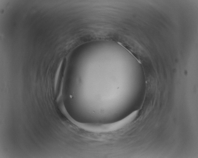 X0000051250033200506241558