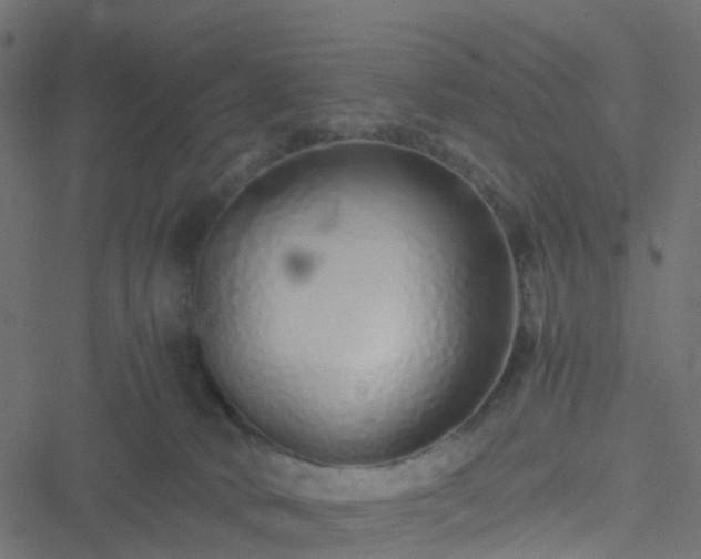 X0000051250034200506241558