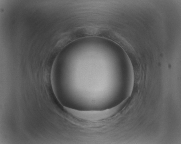 X0000051250035200506241558