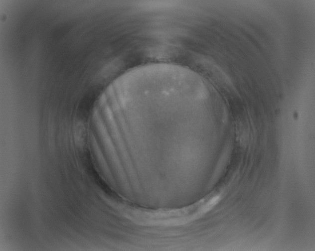 X0000051250036200506241558