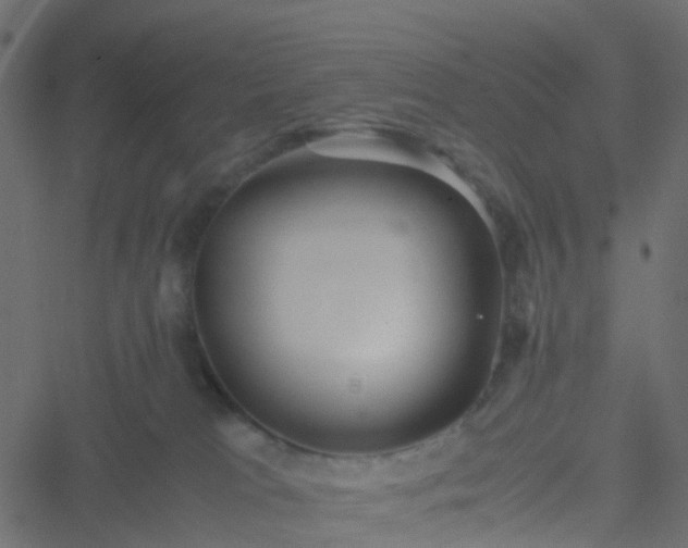 X0000051250037200506241558