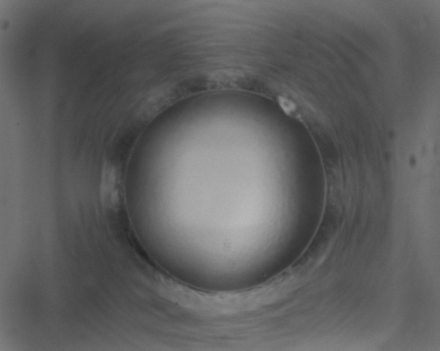 X0000051250038200506241558