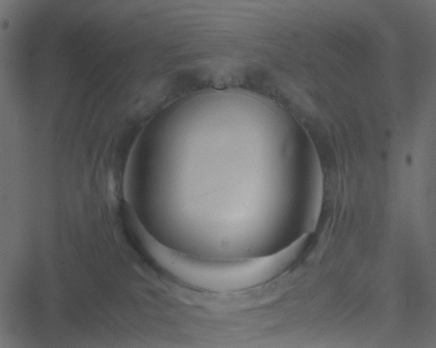 X0000051250039200506241558