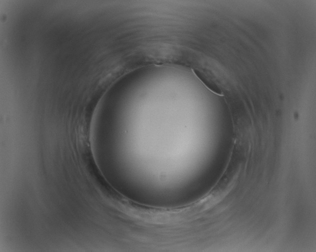 X0000051250040200506241558