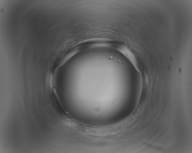 X0000051250041200506241558