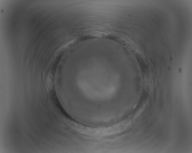 X0000051250043200506241558