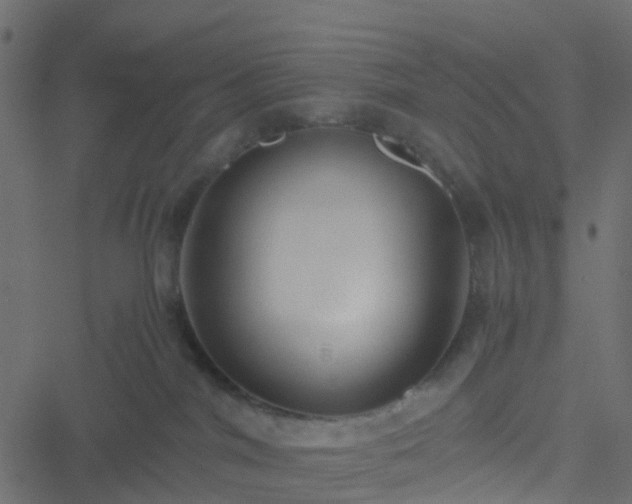 X0000051250044200506241558