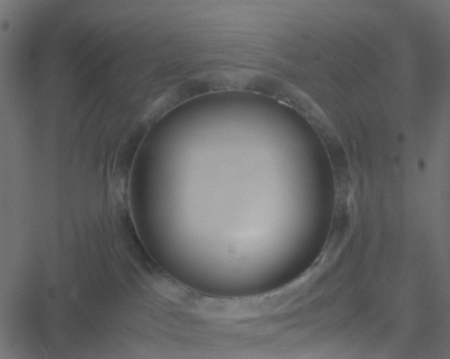 X0000051250045200506241558