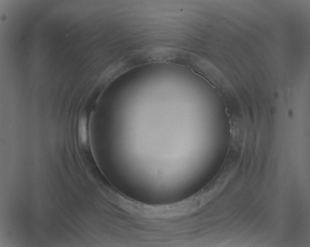 X0000051250046200506241558