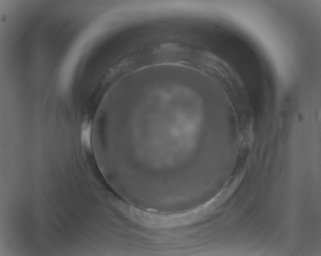 X0000051250047200506241558