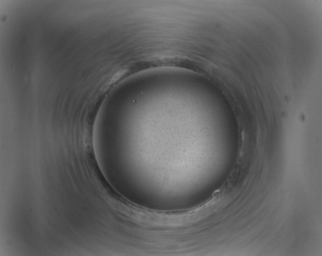 X0000051250048200506241557