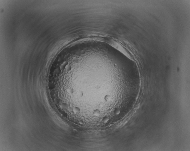 X0000051250049200506241557