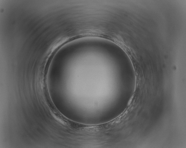 X0000051250050200506241557