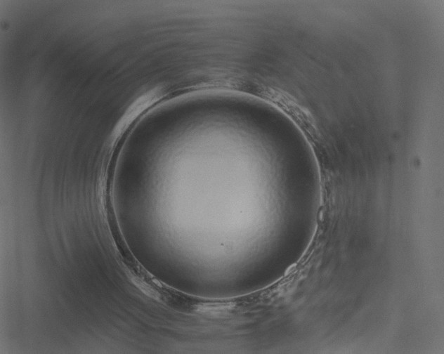 X0000051250051200506241557