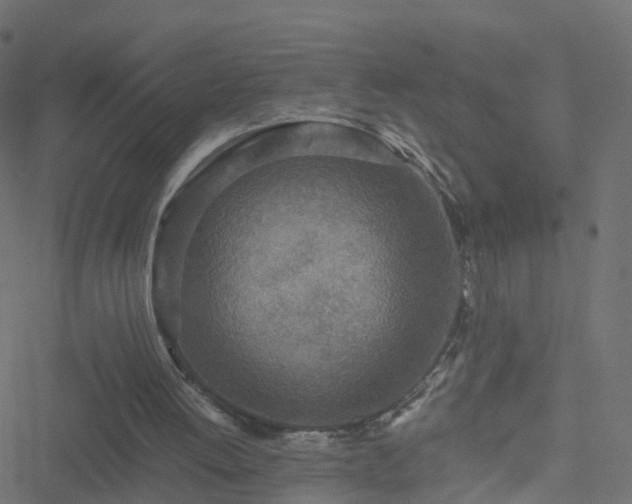 X0000051250052200506241557