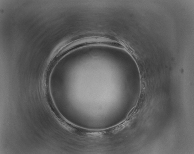 X0000051250053200506241557