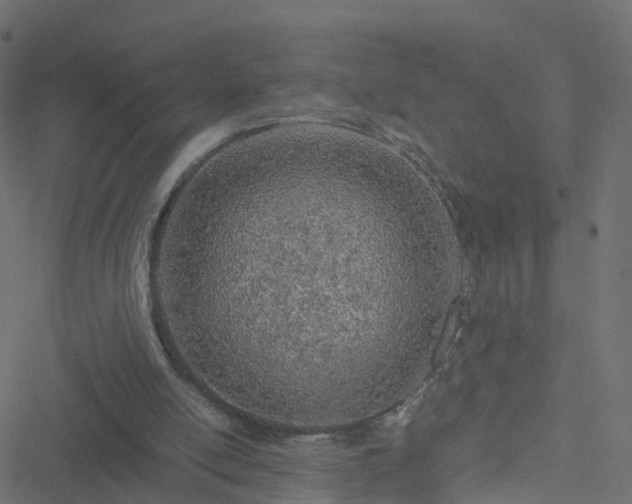 X0000051250054200506241557