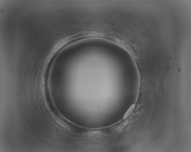 X0000051250055200506241557