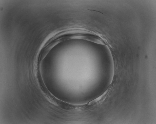 X0000051250056200506241557