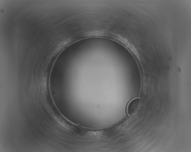 X0000051250057200506241557