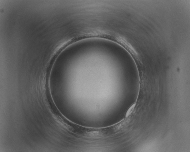 X0000051250058200506241557