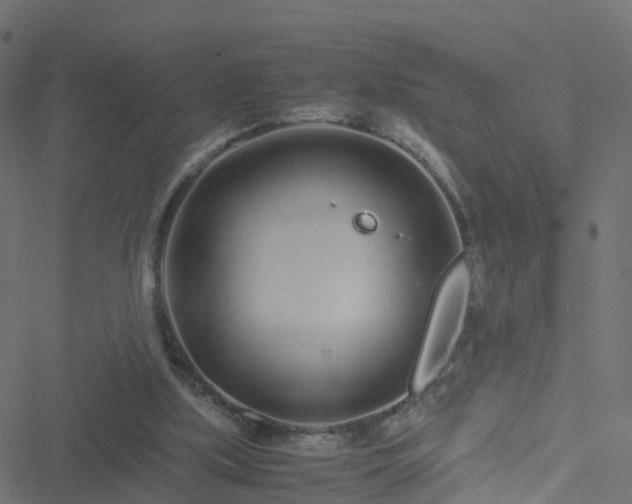 X0000051250059200506241557