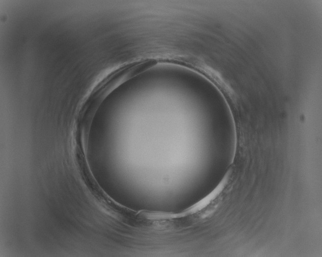 X0000051250060200506241557