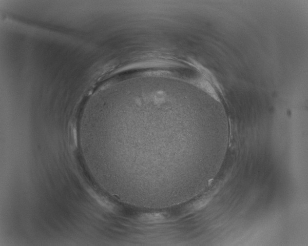 X0000051250061200506241557