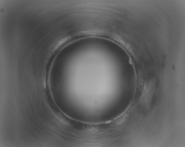 X0000051250062200506241557