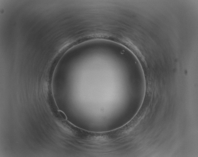 X0000051250063200506241557