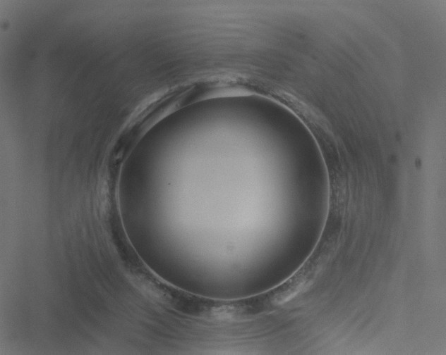 X0000051250064200506241557