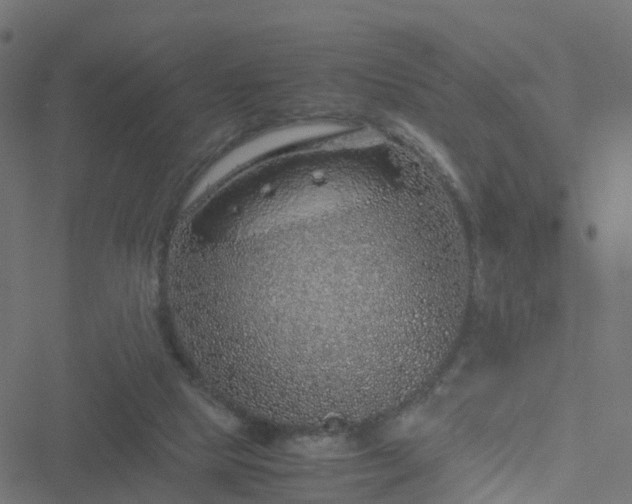 X0000051250065200506241557