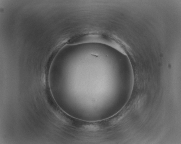 X0000051250067200506241557