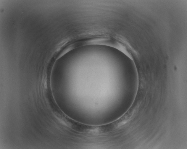 X0000051250068200506241557