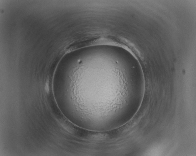 X0000051250069200506241557