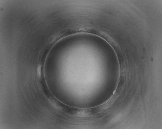 X0000051250070200506241557