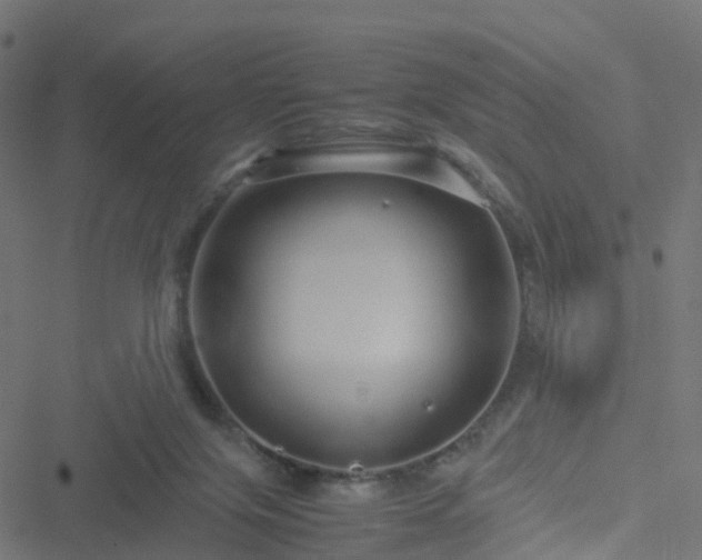 X0000051250071200506241557