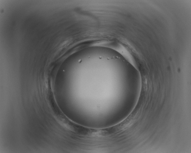 X0000051250072200506241557