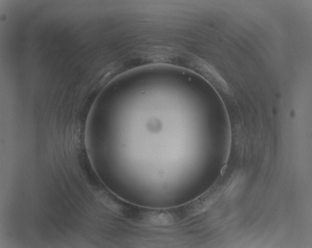 X0000051250073200506241557