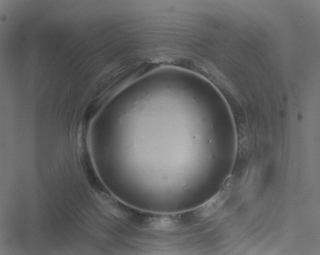 X0000051250074200506241557