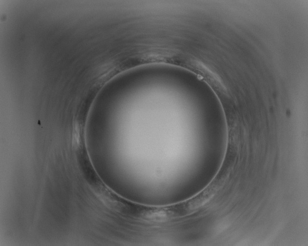 X0000051250075200506241557