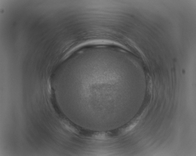 X0000051250076200506241557