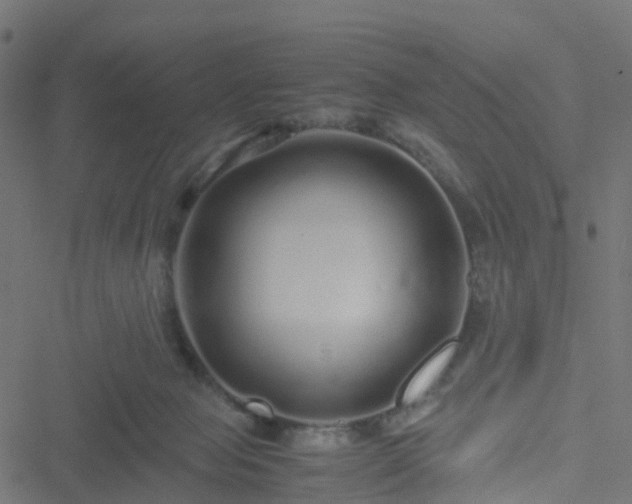 X0000051250077200506241557