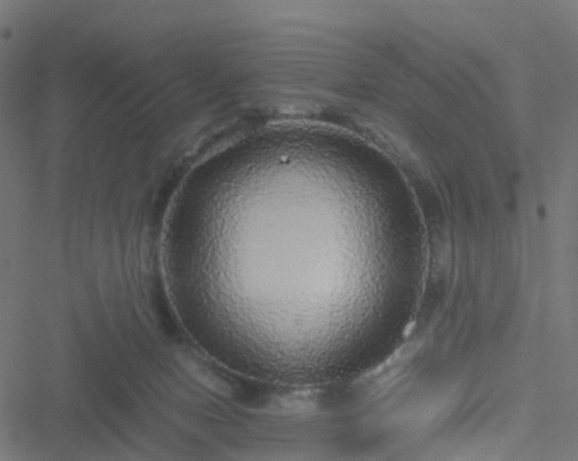 X0000051250078200506241557